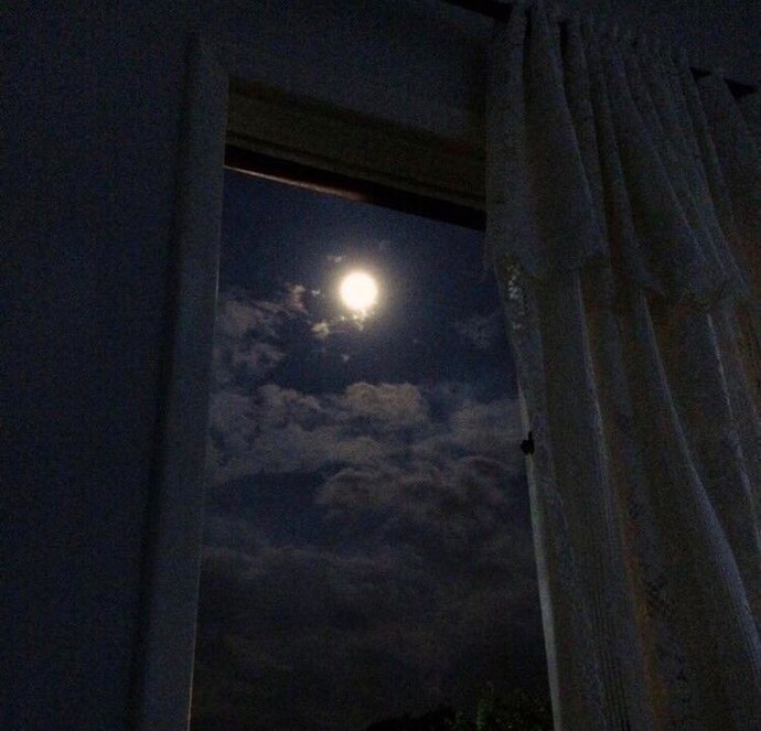 Kendinizi genellikle gündüz mü yoksa gece mi daha huzurlu hissediyorsunuz?