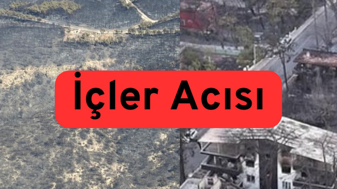Çanakkale’de yaşanan yangında geriye sadece küller kaldı. Orman yangınlarına karşı acil eylem planı zorunlu hale gelmeli mi?