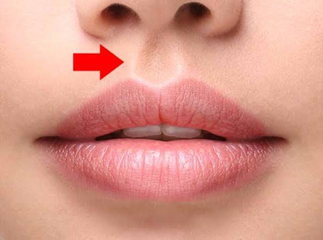 Filtrum, yüz ifadesine çok şey katabiliyor. Sizin için buradaki bölge özel bir anlam taşıyor mu?