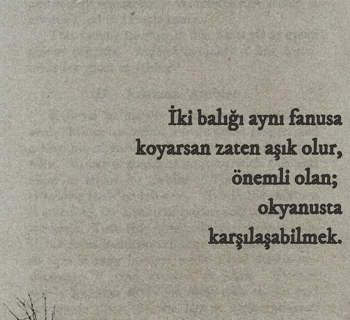 hangisi tercihiniz?