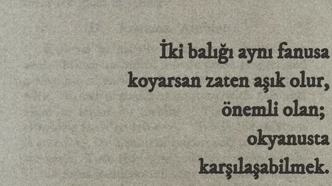 Görücü usulü ve aşk evliliği arasındaki fark nedir?