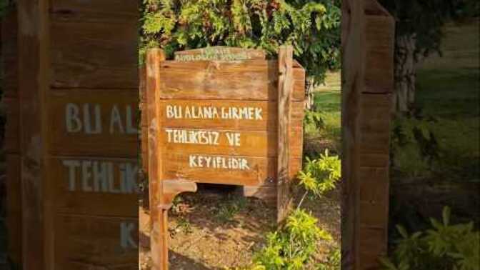 Sera içinde cafe kurmak nasıl olurdu sizce?