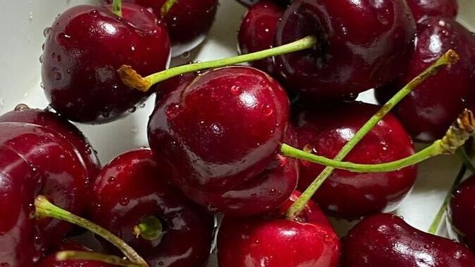 Her mevsimde yemek istediğiniz meyve hangisi?
