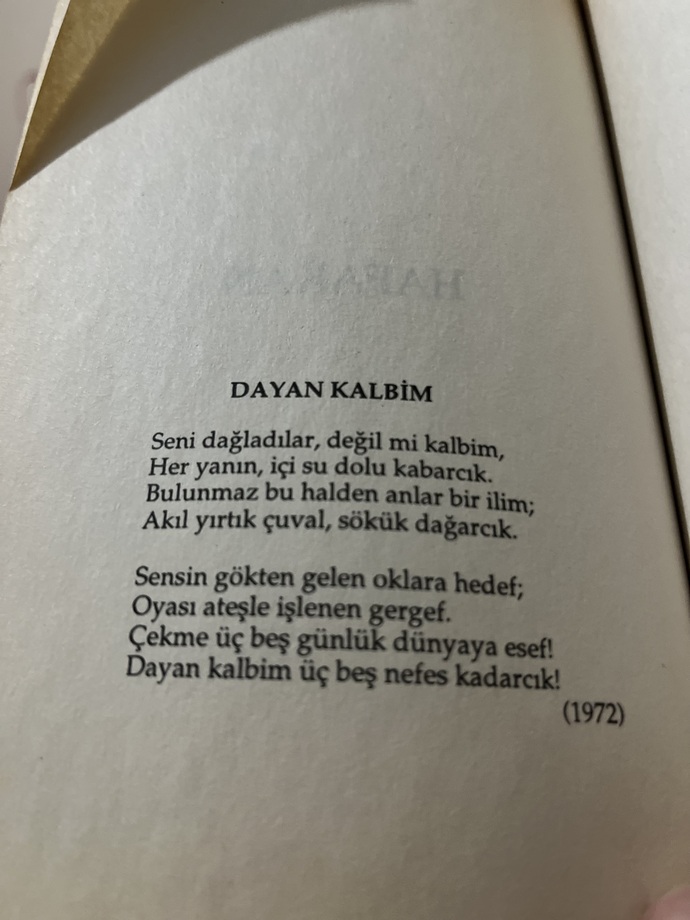 Akşama hangi şiiri bırakmak istersiniz?