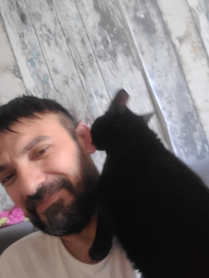 Kedilerle aranız nasıl😺?