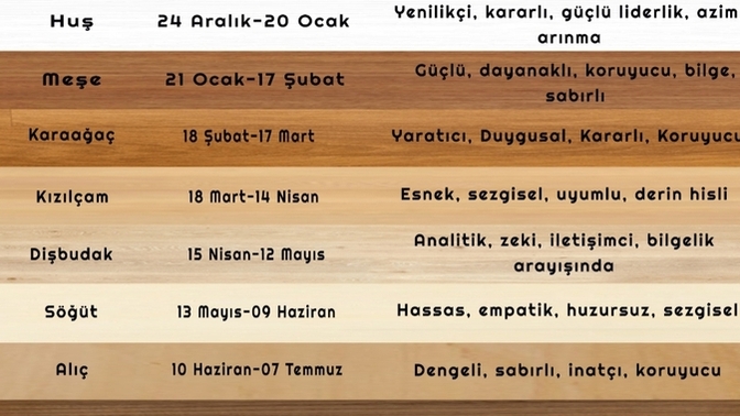 Oduncu geldi! Ağaç burcun ne öğrenmek ister misin?