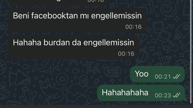 Onu stalkladiğim için rahatsız oluyordu şimdi neden böyle yazmış?