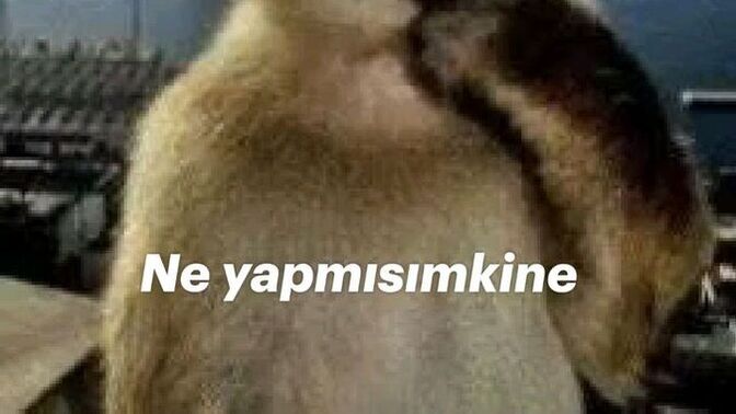 Kalp kırmaktan çekinmeyen, ağzına geleni söyleyen burç hangisi?
