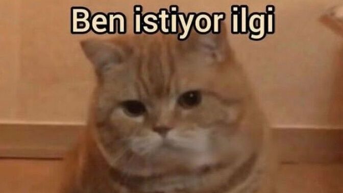 İlgi delisi olan, sürekli ilgi isteyen burç hangisi?