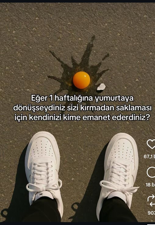 1 haftalığına yumurta olsaydiniz sizi kırmadan saklaması icin kendinizi kime emanet ederdiniz?