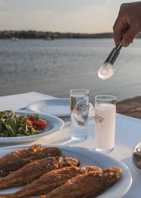 Aslan sütü ve balık ikilisi sizin damak tadınıza uygun mu?