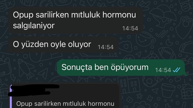 Sizce eski sevgilim tamamen vaz mi geçmiş?