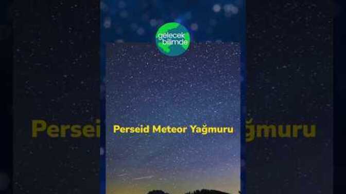 Perseid Meteor Yağmuru ?