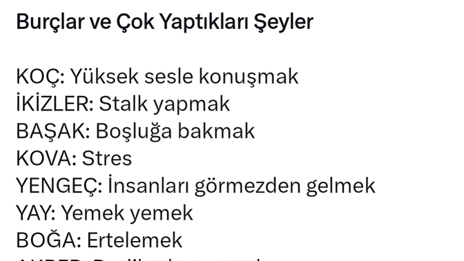 Burcunuza göre en çok yaptığınız şey nedir?
