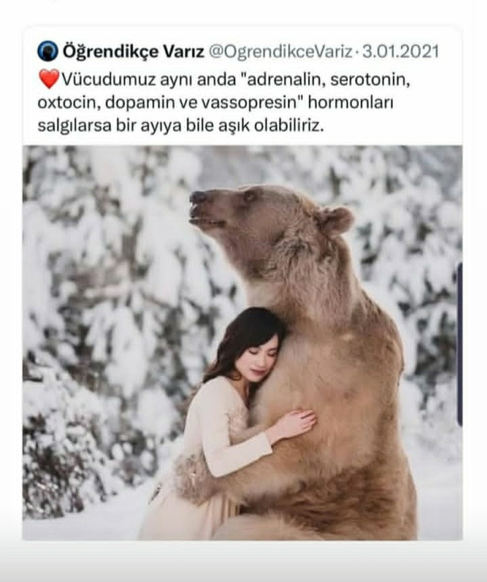 Vücudum dopamin, oksitosin salgılıyor diye, ayıya baktığımda hayatımın aşkı mı diyeceğim yani?
