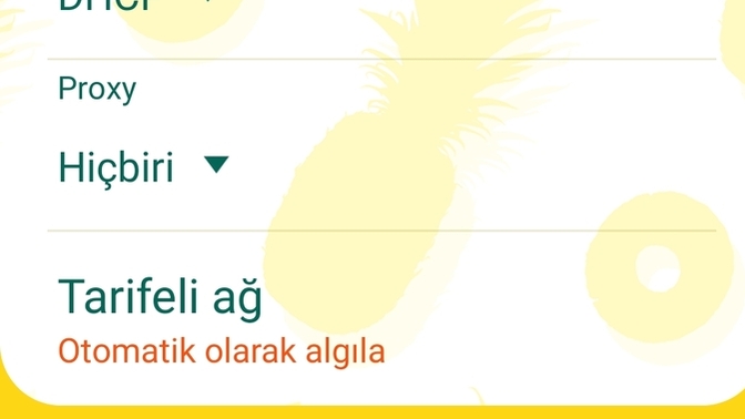 Teknolojiden anlayanlar burdan ne anlamalıyım? Bir gelin hele?