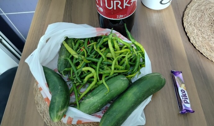 Acı biber mi, salatalık mı?