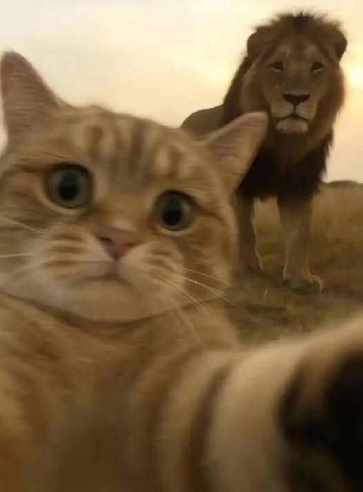Özçekim (selfi) yapmayı sever misiniz?