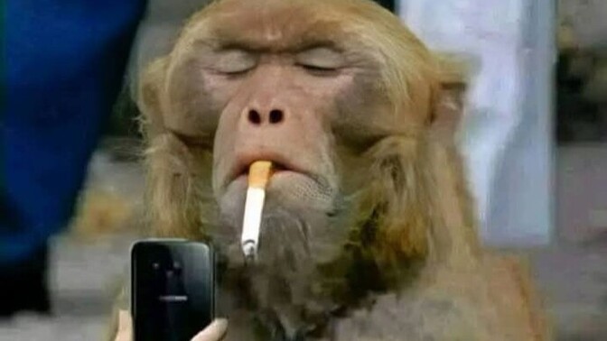 Şifre koyarken sevgilinizin bilgilerinden kullanır mısınız?