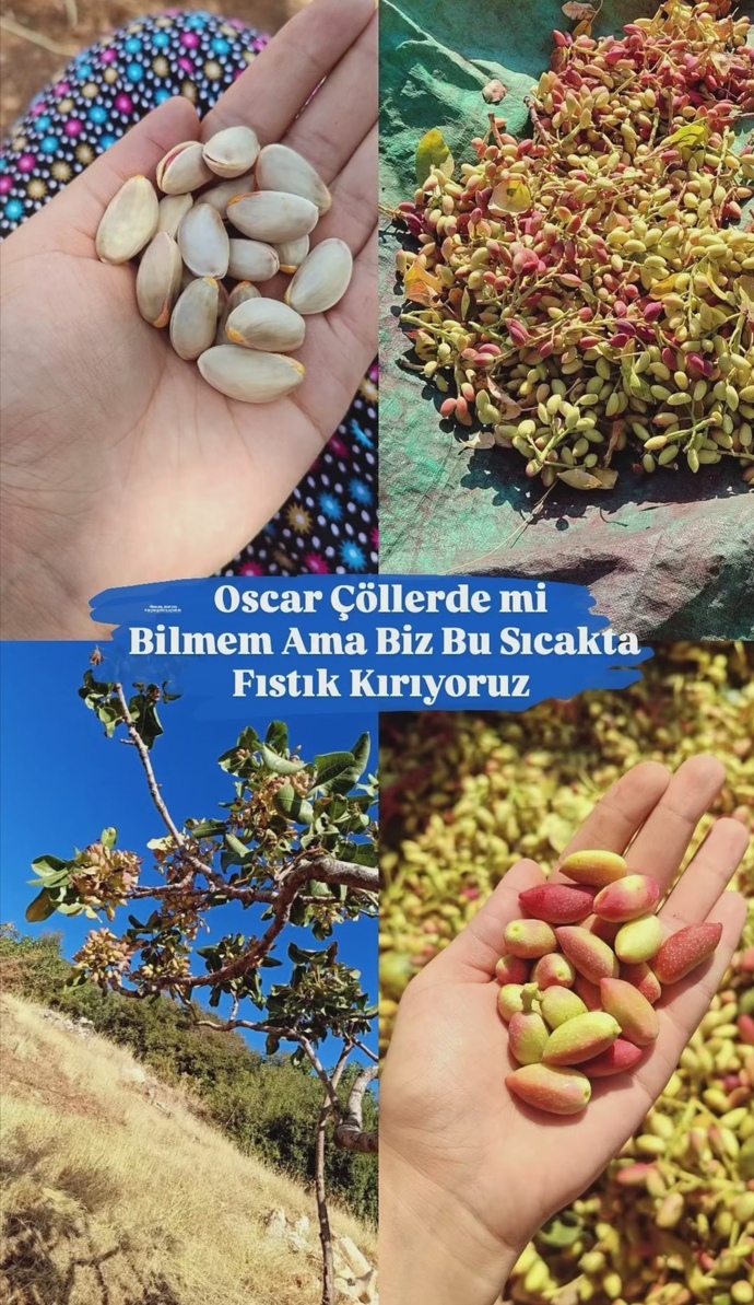Beni toplamak 😂🥰