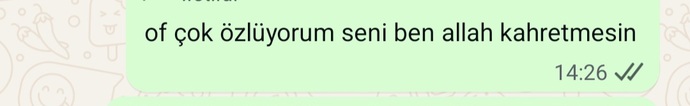 Bunu diyen birisi neden durduk yere birakir?