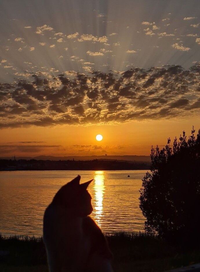 Gün batımını izlemek size nasıl hissettirir?