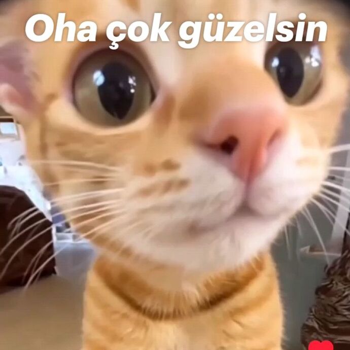Güzellik takıntım var artık dışarı bile bu yüzle çıkmak istemiyorum?