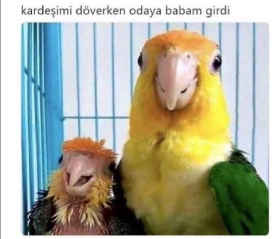 Kardesinizle araniz nasil?