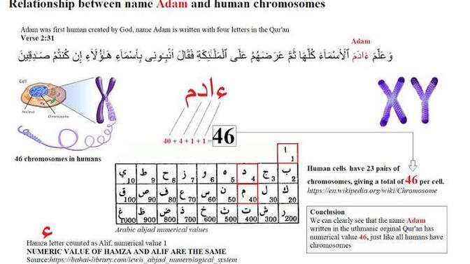İnsan 46 kromozomlu bir varlıktır kuranda bunu söylemez mi?