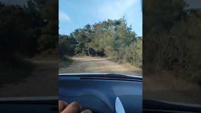 Baltalar elimizde kürekler cebimizde biz gideriz ormana hey or mana😂 dedinzi mi?