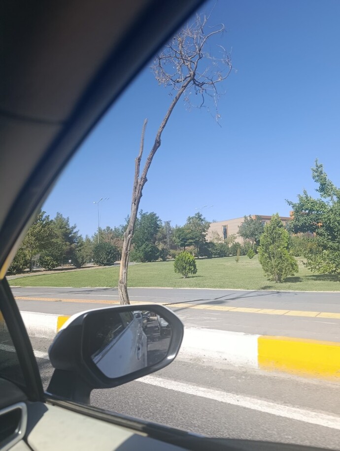 Araba yolculuğunu sever misinn?