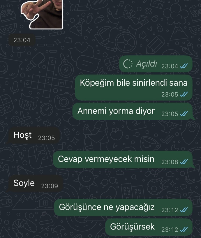 Sizce eski sevgilimin hiç mi ilgisi yok?