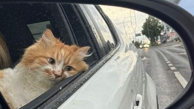 Yaptığınız iyiliklere değdi mi?