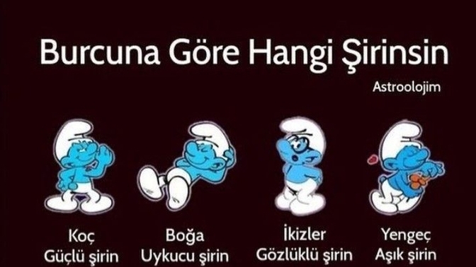 Burcunuza göre hangi şirinsiniz?