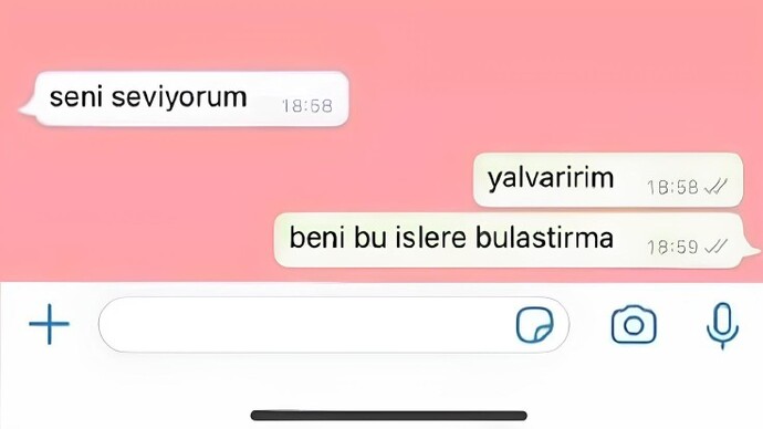 Whatsappına en son gelen mesaj neydi?