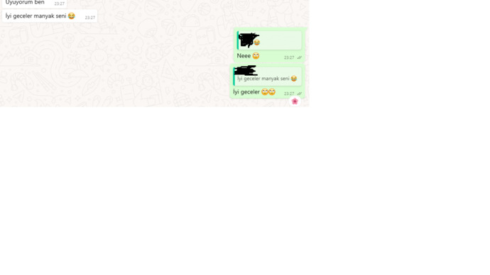 Whatsapp'ına en son gelen mesaj neydi?
