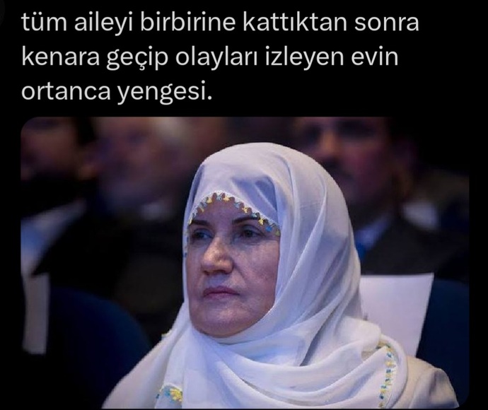 Sizinde ailenizde ortalığı karıştırıp kenara cekilen biri var mı?
