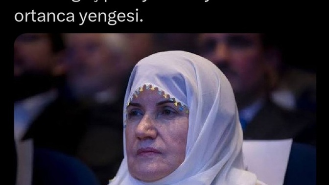 Sizinde ailenizde ortalığı karıştırıp kenara cekilen biri var mı?