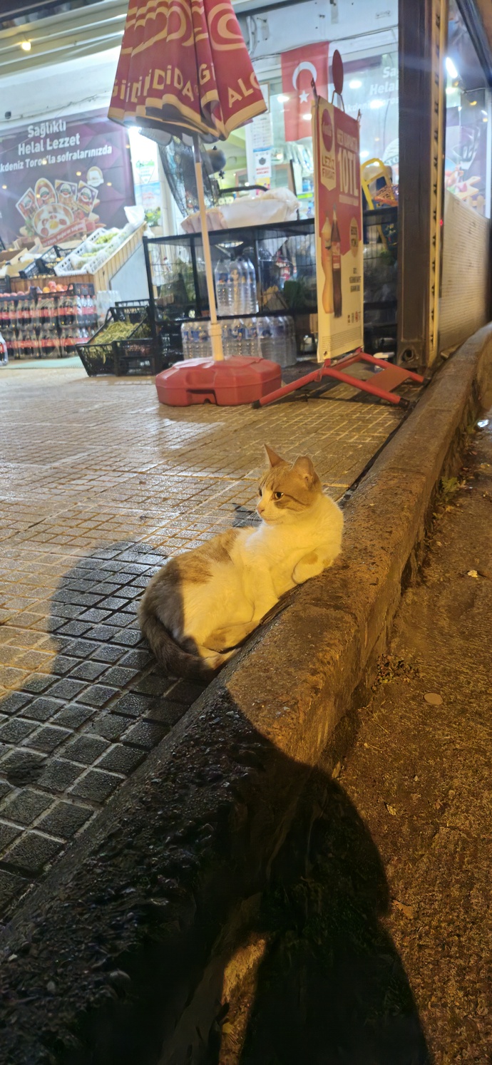 En son neyin fotoğrafını çektiniz?