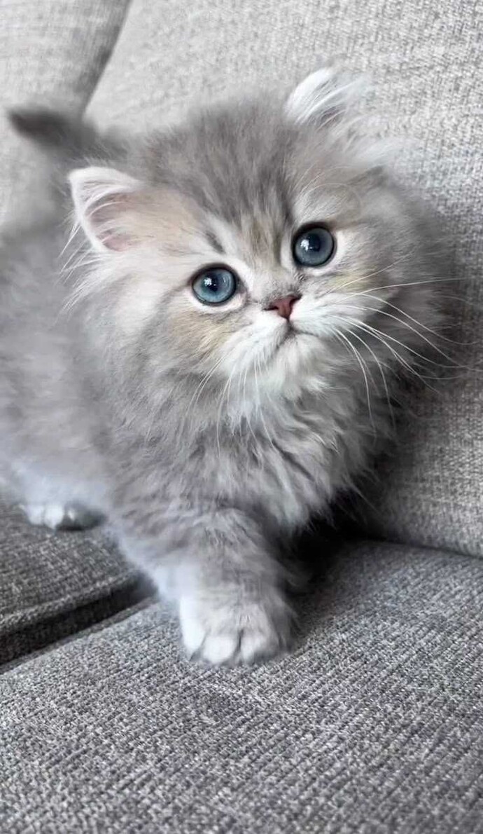 İyi niyetli ve merhametli olmanız size zarar verdi mi veya sizi incitti mi?