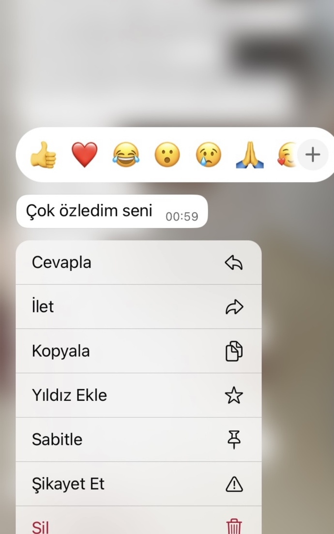 Bir mesajla mutlu olsanız, o mesajda ne yazardı?