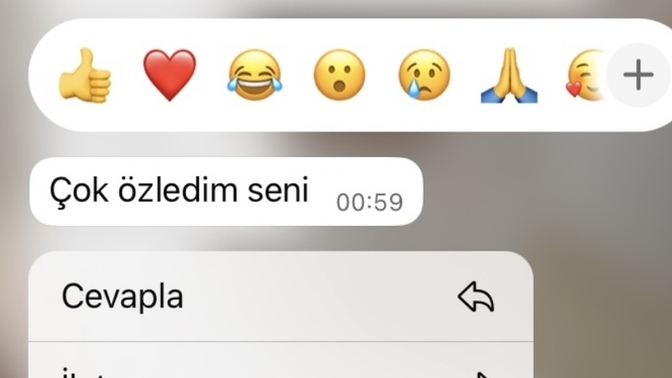 Bir mesajla mutlu olsanız, o mesajda ne yazardı?