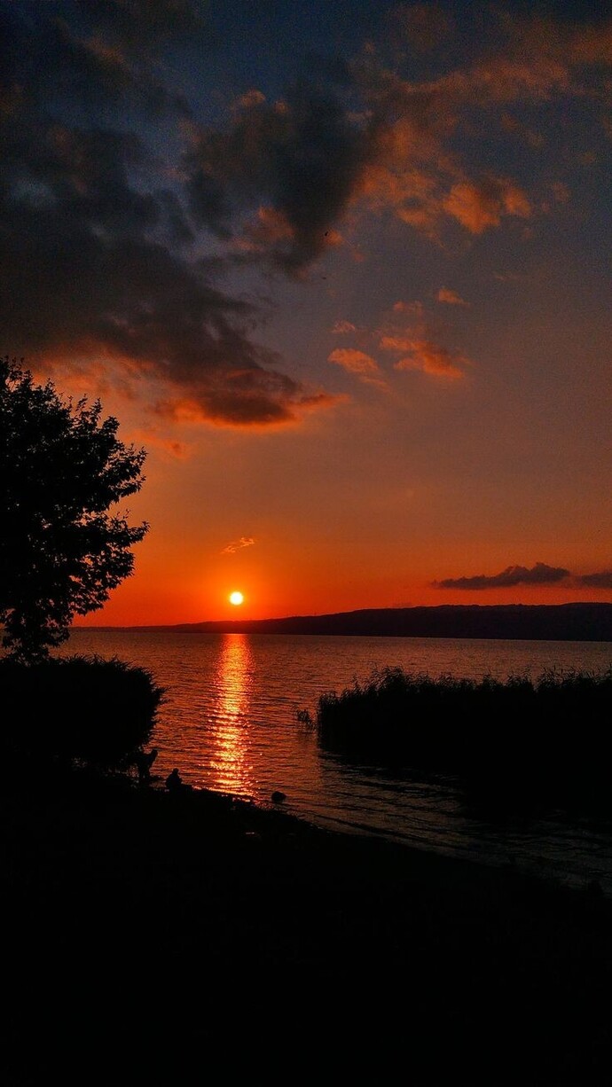 Heyy millett bu resim size ne hissettiriyor?