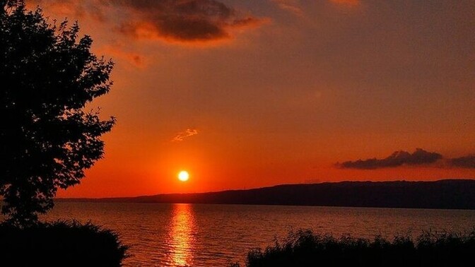Heyy millett bu resim size ne hissettiriyor?