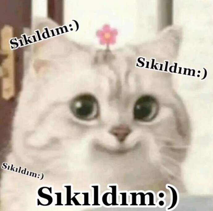 Her şeyden çok çabuk sıkılır mısınız?