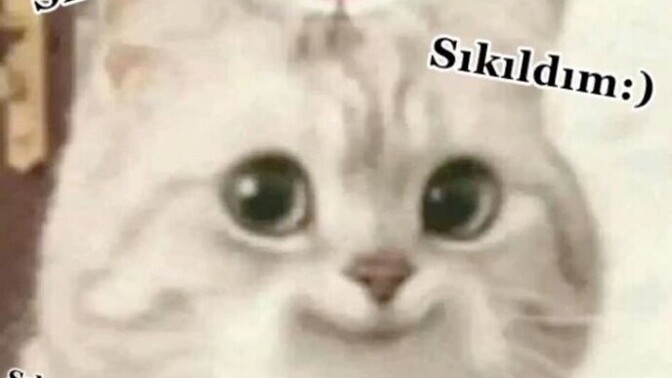 Her şeyden çok çabuk sıkılır mısınız?