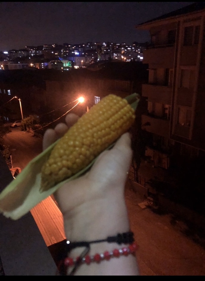 Mısırı Nasıl Yemeyi Seversiniz?