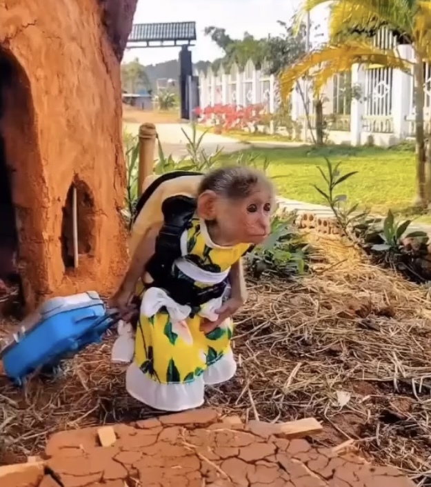 Sevgiliniz size bağırırsa nasıl tepki verirsiniz?