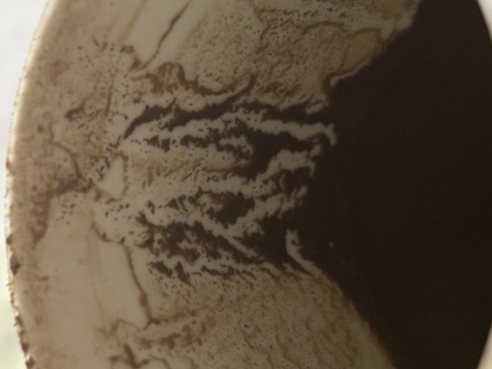 Yorumlayın bakalımm aşk hayatımaa?