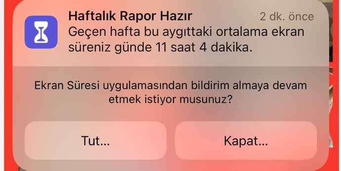 Bu neyy nasıl ne yapcam ben?